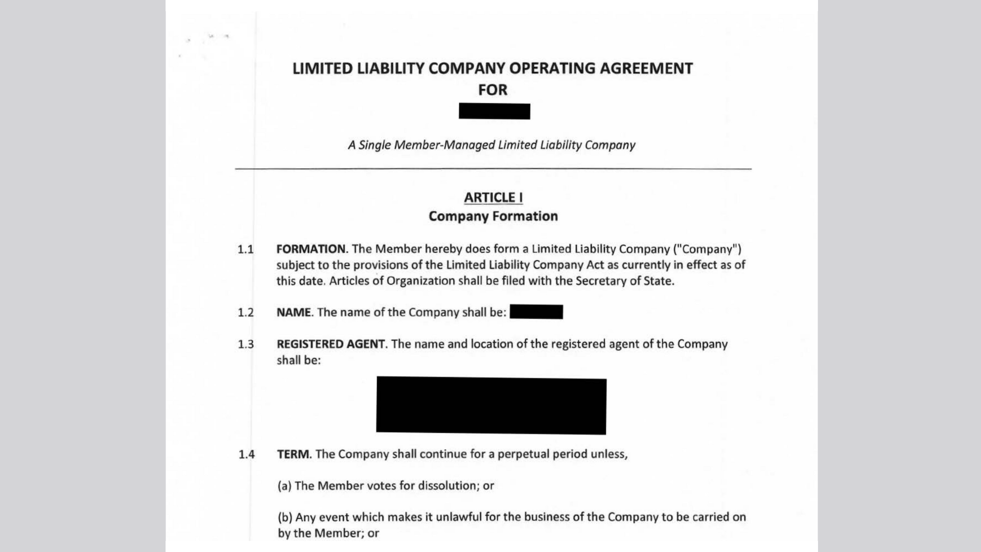 Operating Agreement Drafting